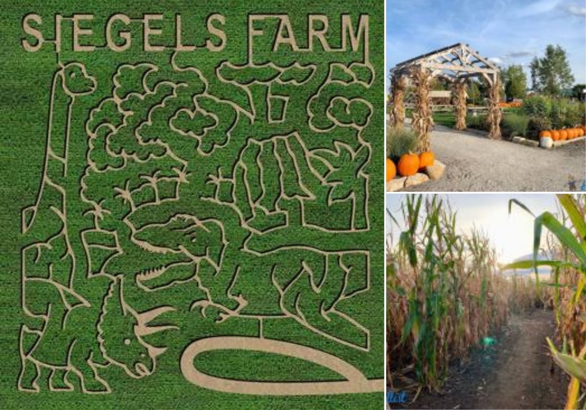 Spooktacular Day Trips for All Things Pumpkin & Apple Macaroni KID