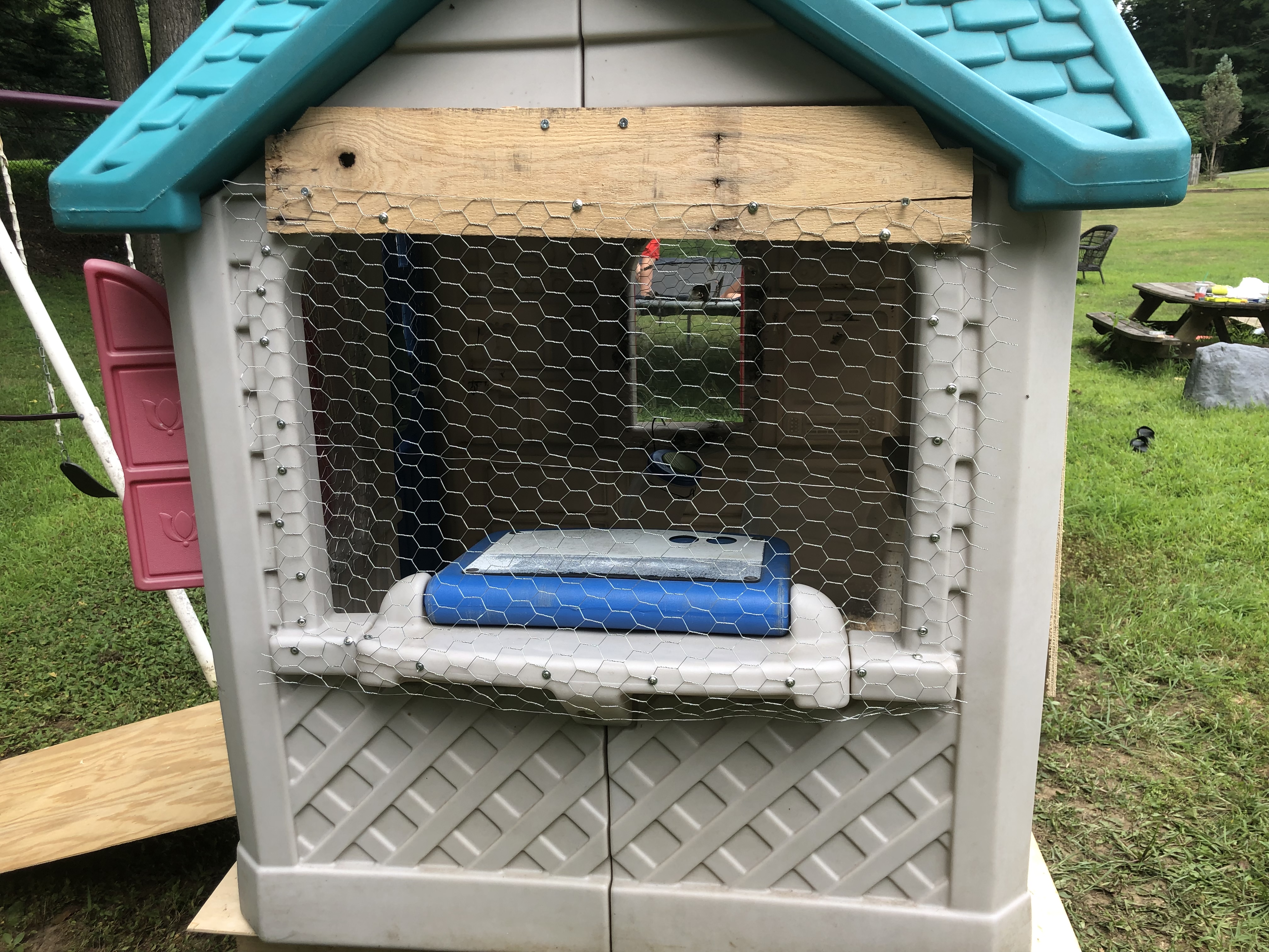 Raising Backyard Chickens in Westchester Macaroni KID White Plains