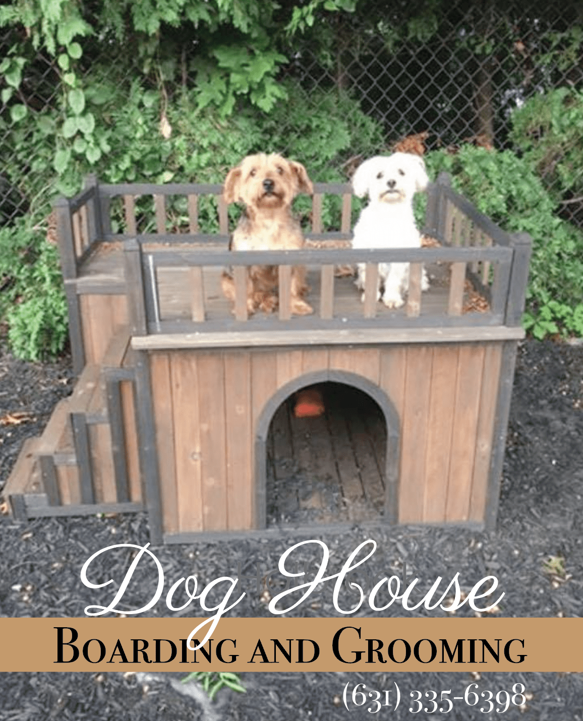 Dog of the Month Sponsored by Dog House Boarding & Grooming Macaroni KID Holbrook, The