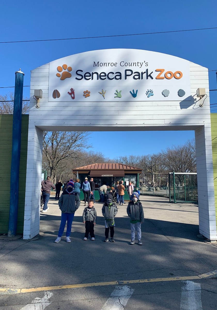 Seneca Park Zoo Macaroni KID PittsfordSE Rochester
