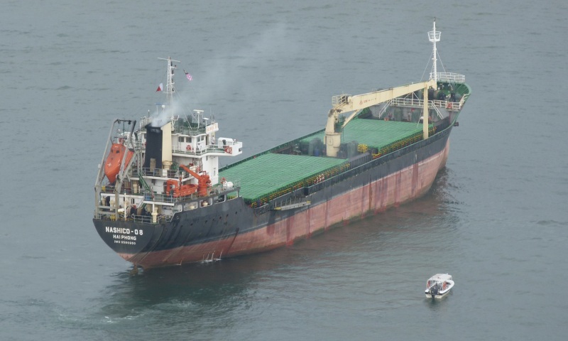 12356 Dry bulk / Mini bulkers 2