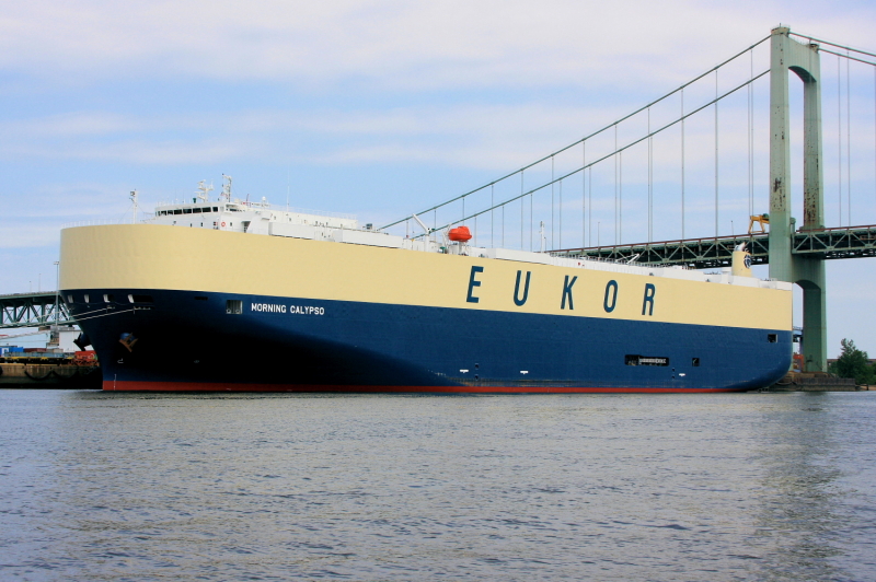 MORNING CALYPSO Car carrier / Large