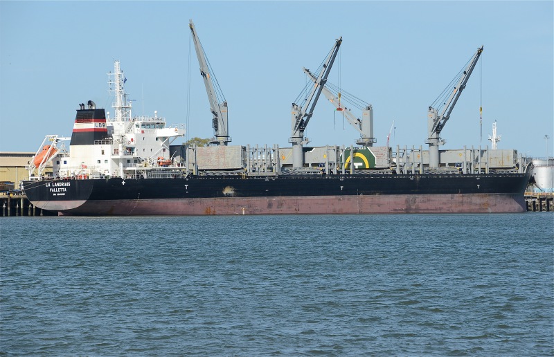 AFRICAN NIGHTHAWK Dry bulk / Supramax