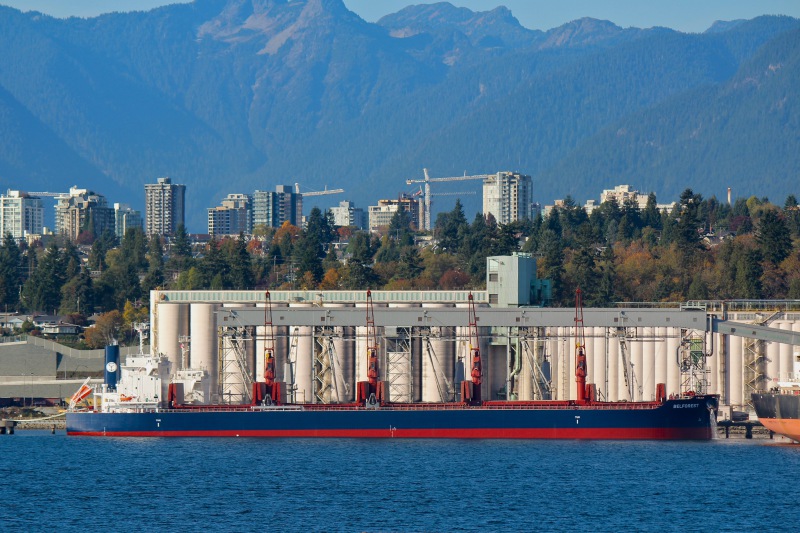 BELFOREST Dry bulk / Ultramax