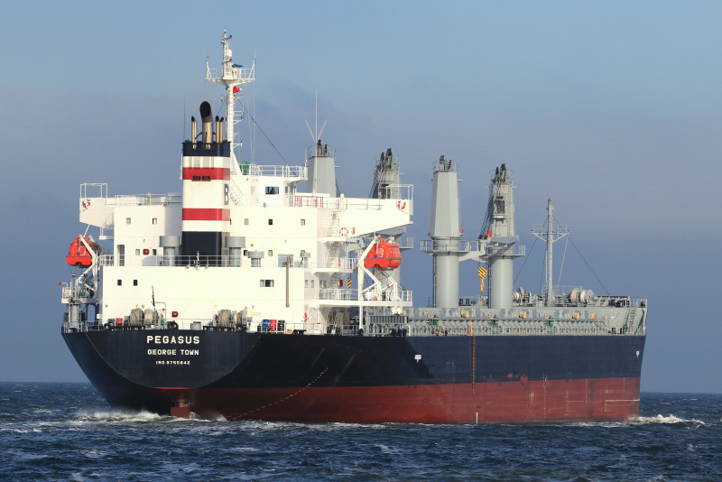 PEGASUS Dry bulk / Handysize