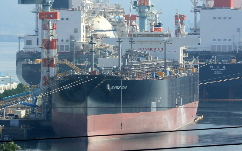 MAPLE GAS LPG / VLGC / Fully refrigerated