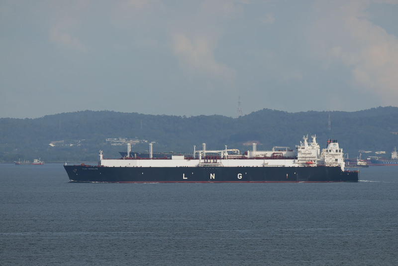 FLEX RESOLUTE LNG / Large