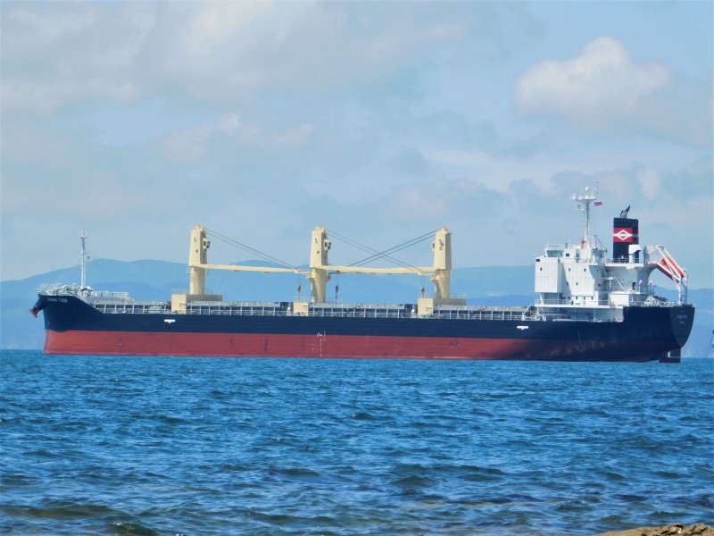 RISING TIDE Dry bulk / Handysize