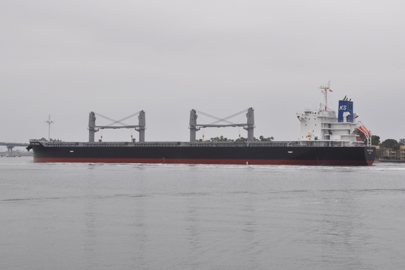 PAVO BRAVE Dry bulk / Ultramax