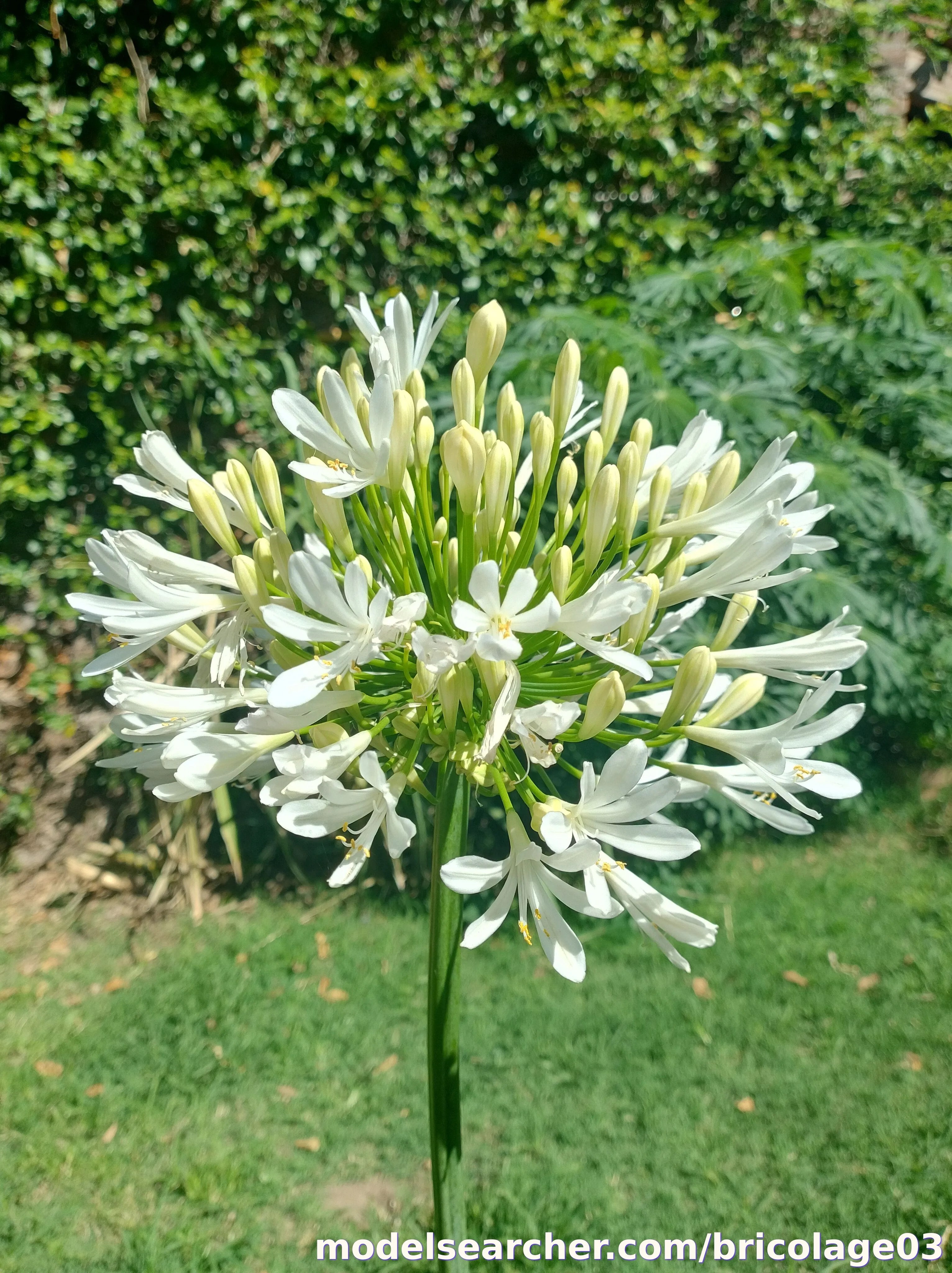 Brii Onlyfans Profile Content updated July 2025