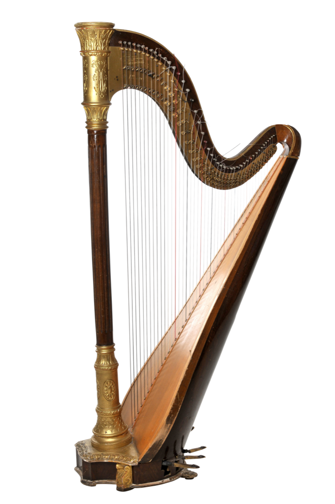 String instrument Wikipedia