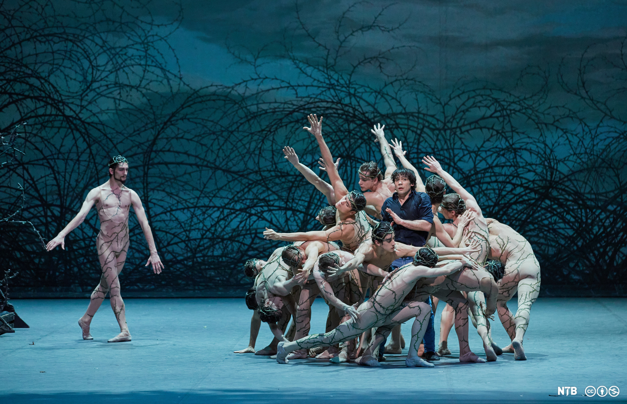 Collective Nouns Engelsk 2 NDLA