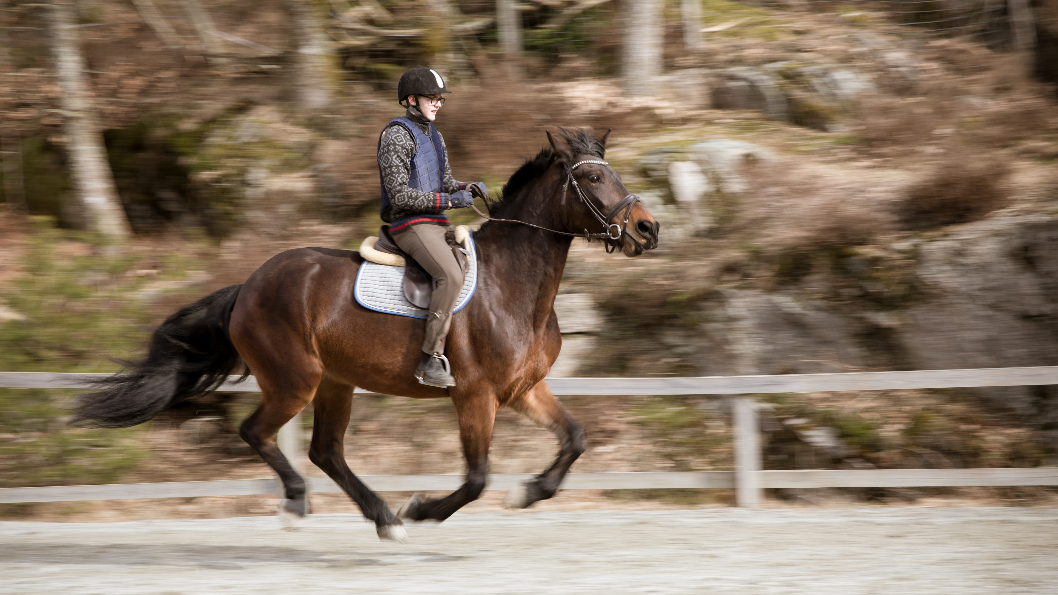 hvor lang tid lever en hest