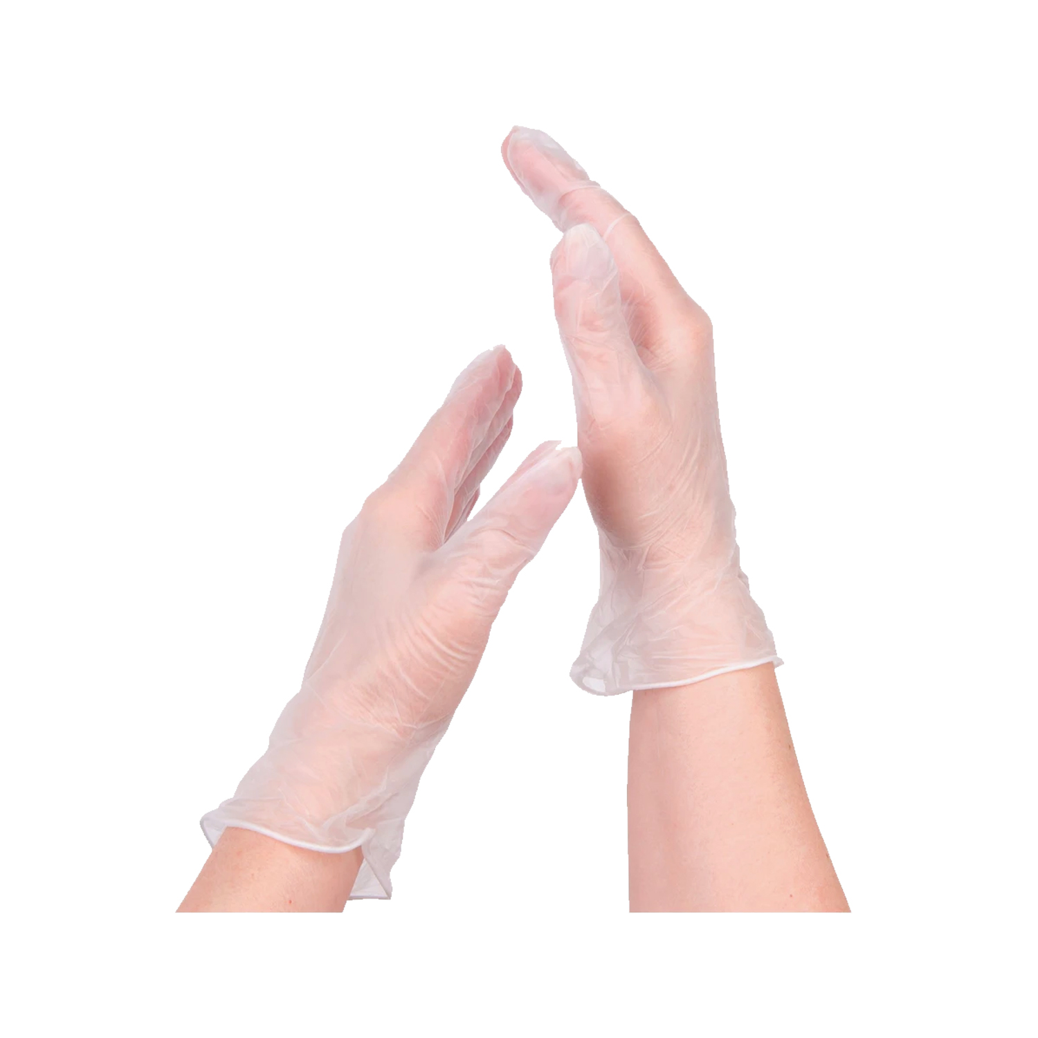 Vinyl Powder Free Gloves OfficeWorks.ph