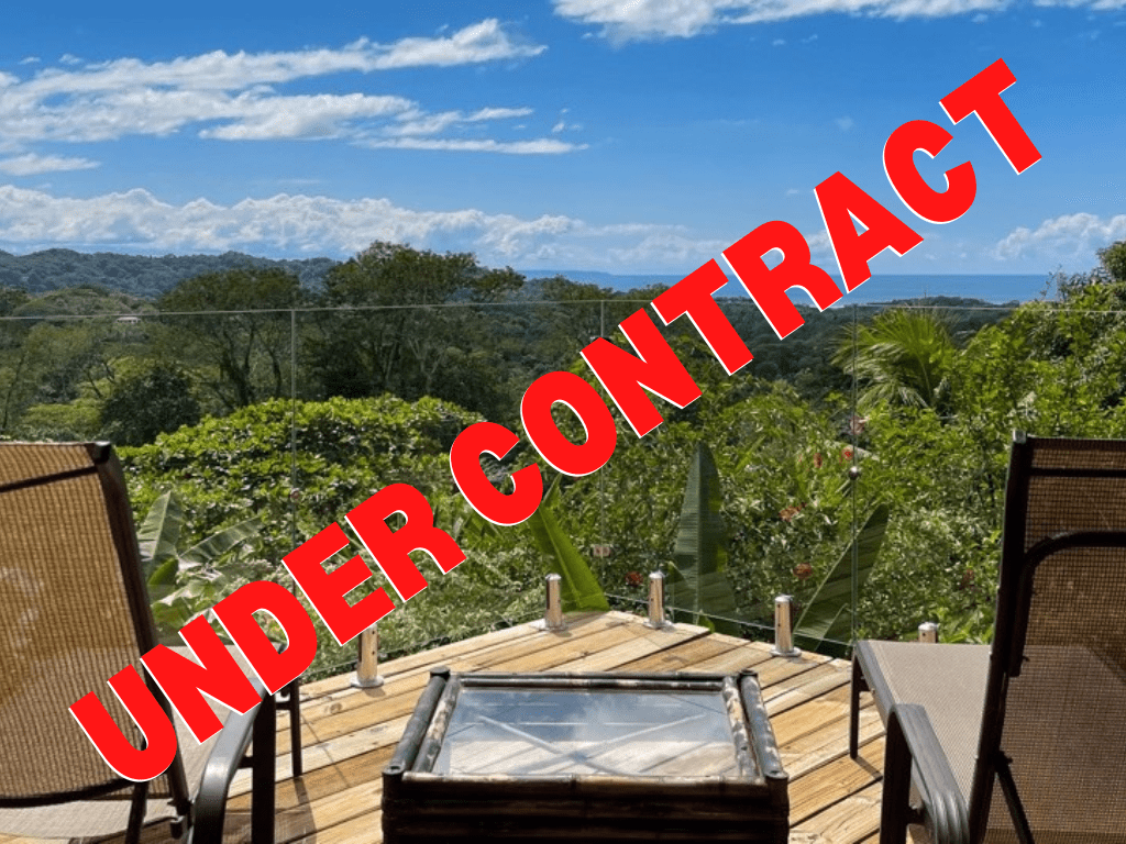 1.5 Acre Ocean View Land with Fruit Trees and Cabin