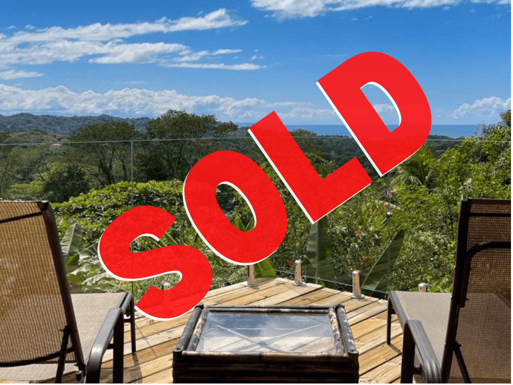 1.5 Acre Ocean View Land with Fruit Trees and Cabin