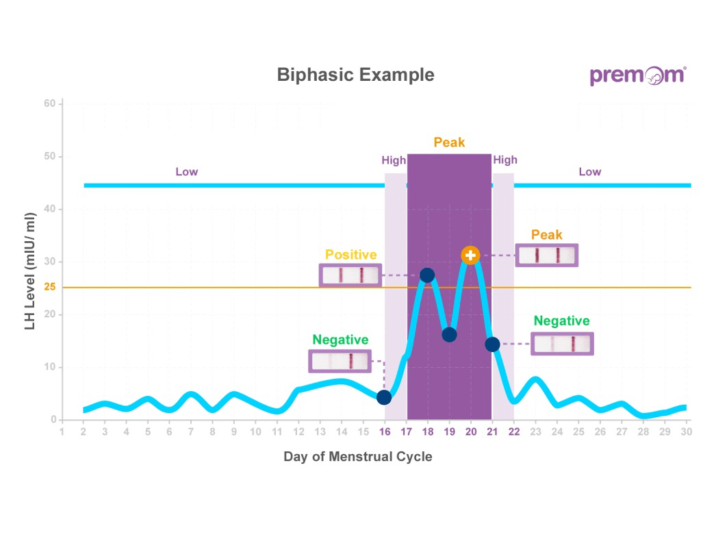 Important Tips to pinpoint LH surge accurately Easy Healthcare
