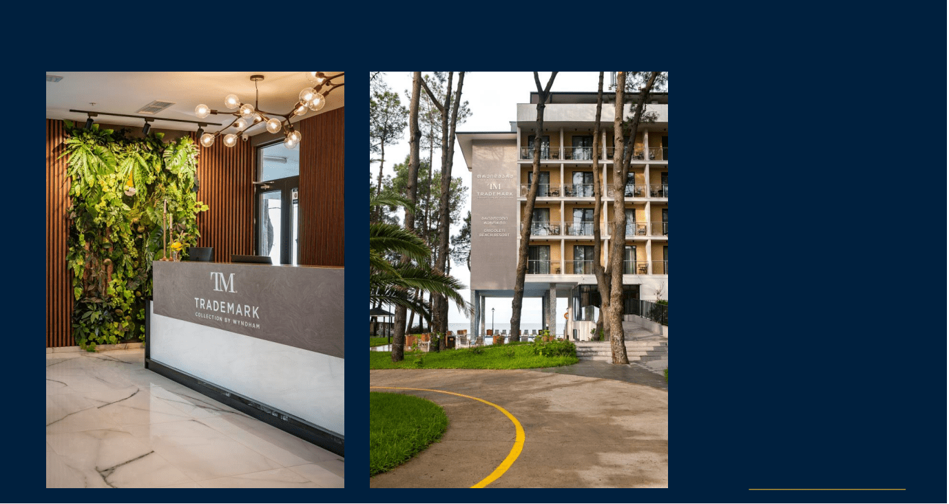 Attractive Investment Offer Medical and Wellness Project Grigoleti