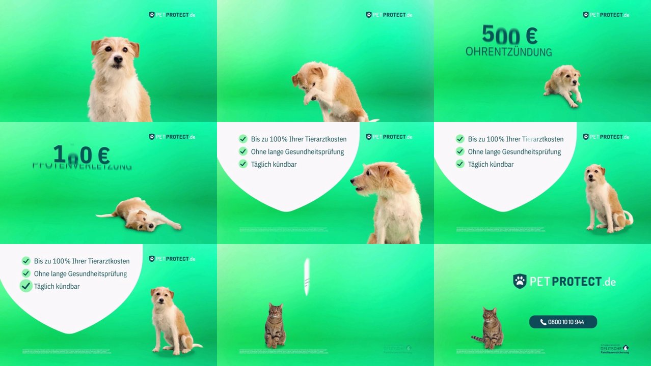 TV Spots TV Werbung von petprotect der letzten 120 Tage