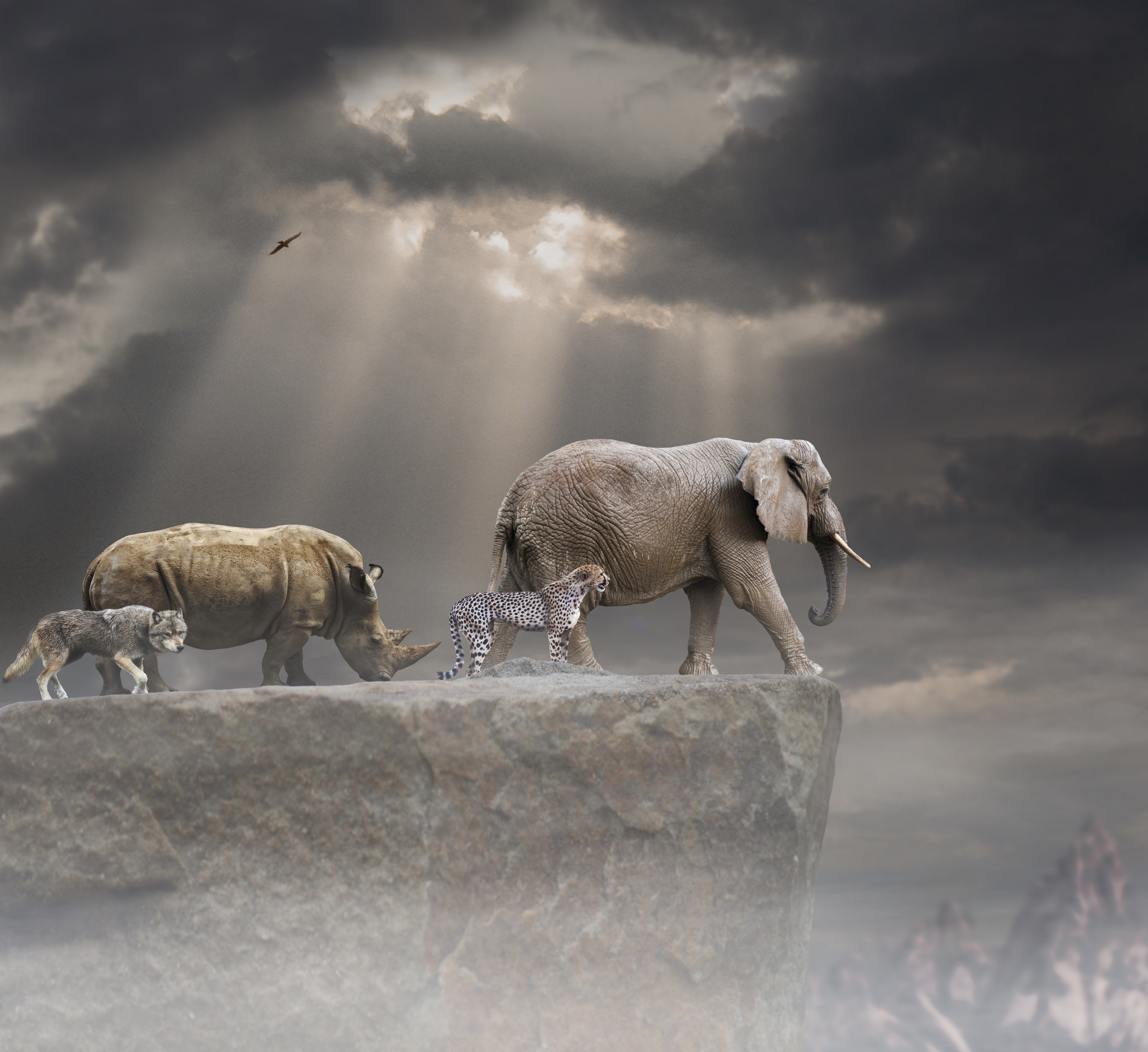 Finnish Beatboxer RudiRok Imitates 30 Different Animals With His Voice