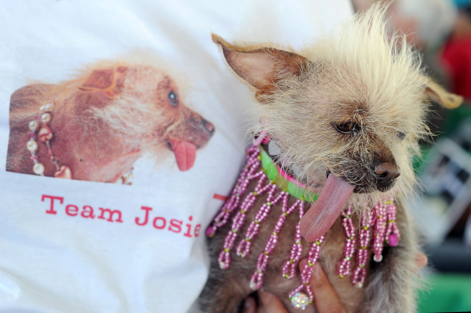 World's Ugliest Dog A 2Yearold Burn Victim Named Peanut Time