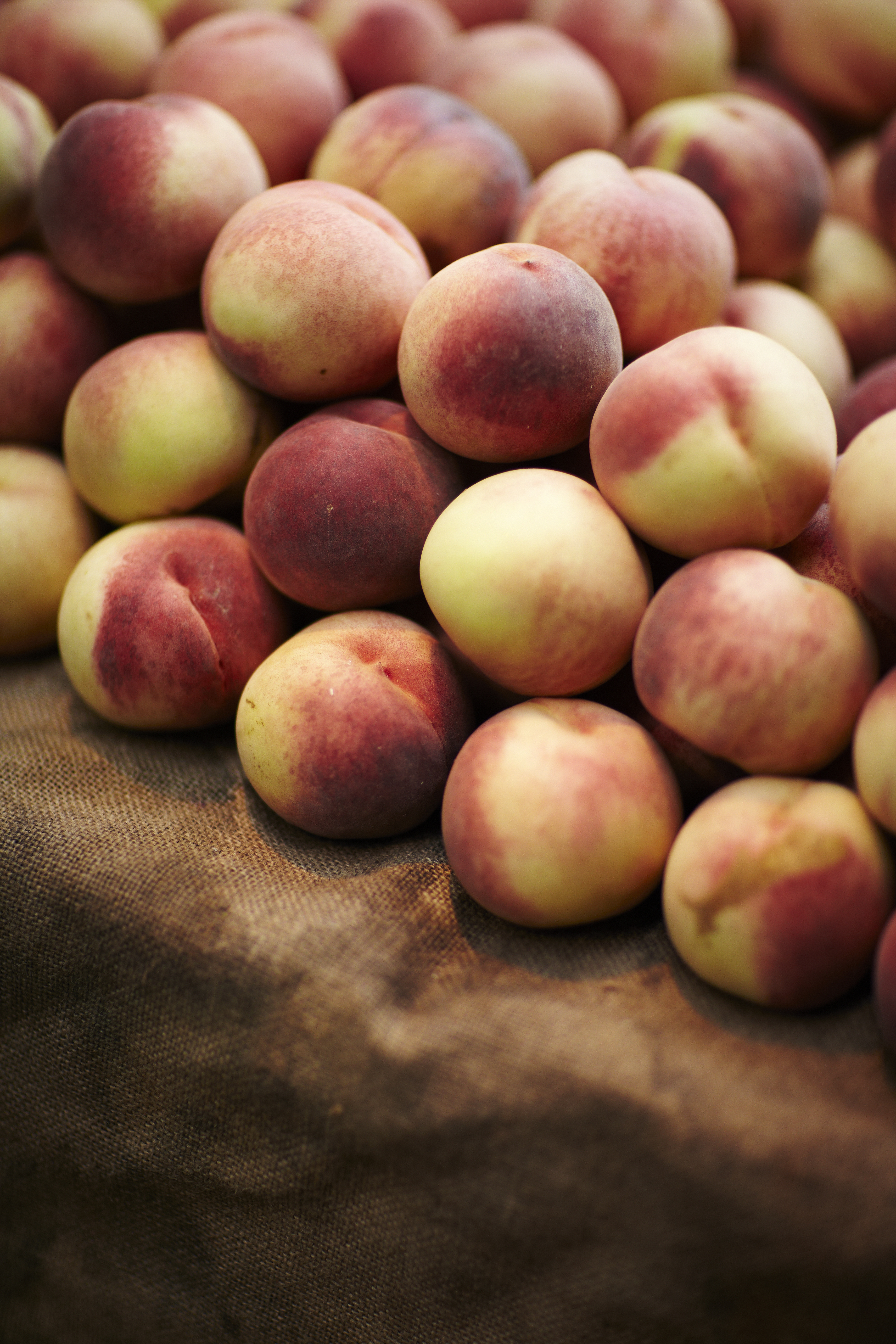 Peach Recall Expands Across U.S. to Trader Joe's and CostCo TIME