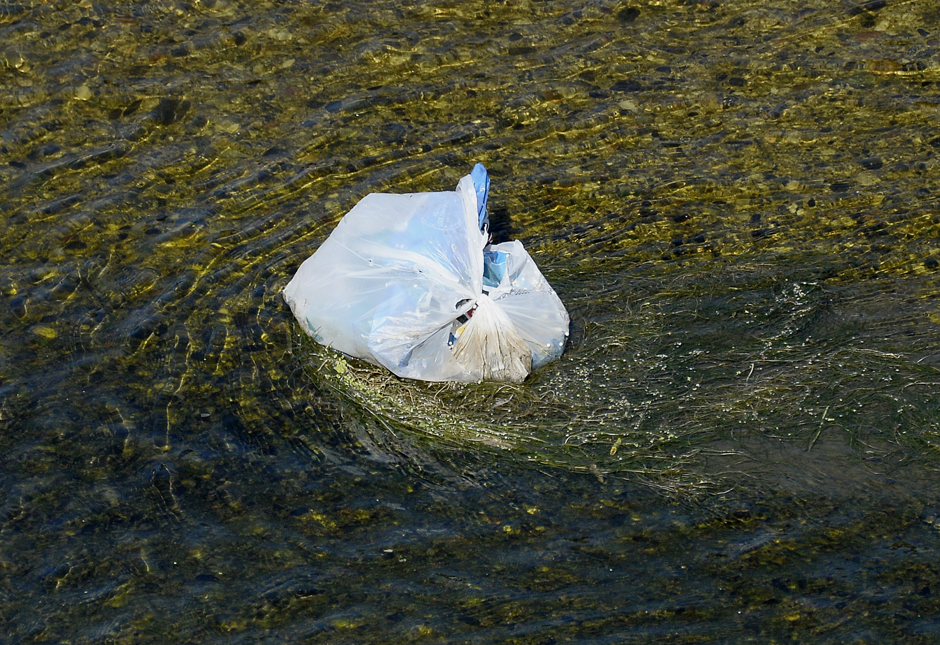 California Bans Plastic Bags Statewide TIME
