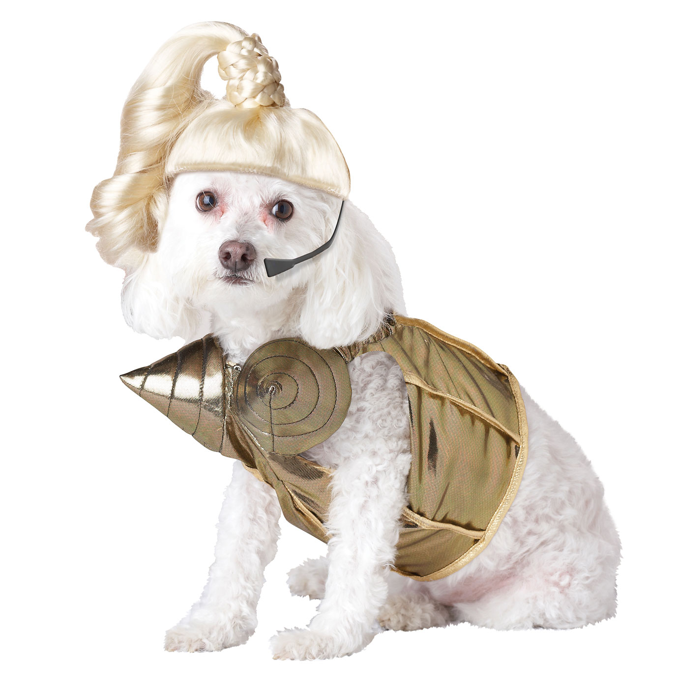 Sexy Halloween Costumes for Dogs, Pets and Humans Time