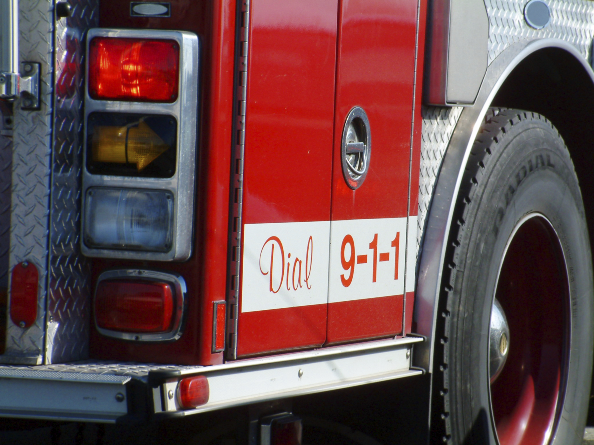 Fire at Hollywild Animal Park in South Carolina Kills 28 Animals Time