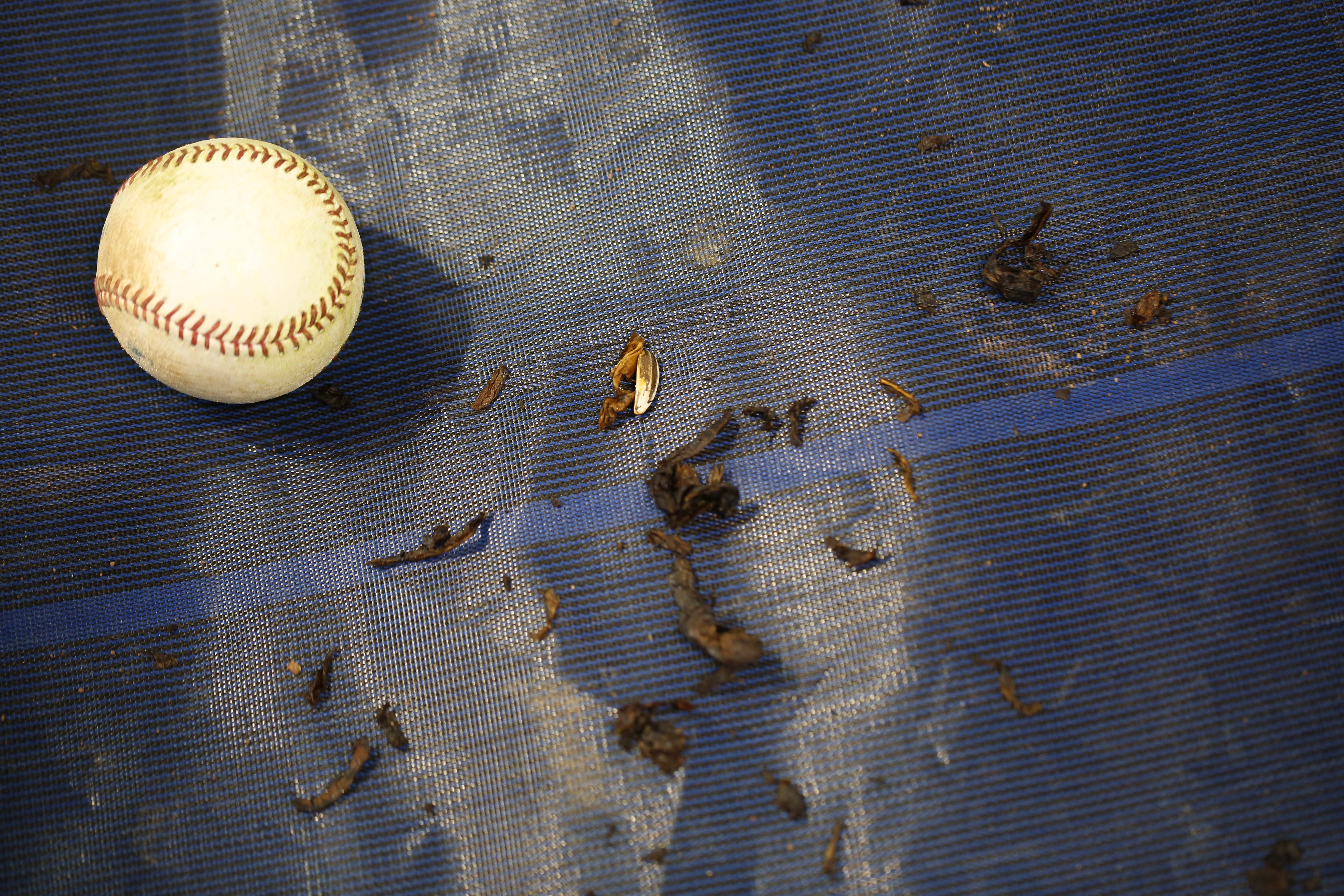 Chewing Tobacco Ban California May Kick It Out of the Stadium TIME