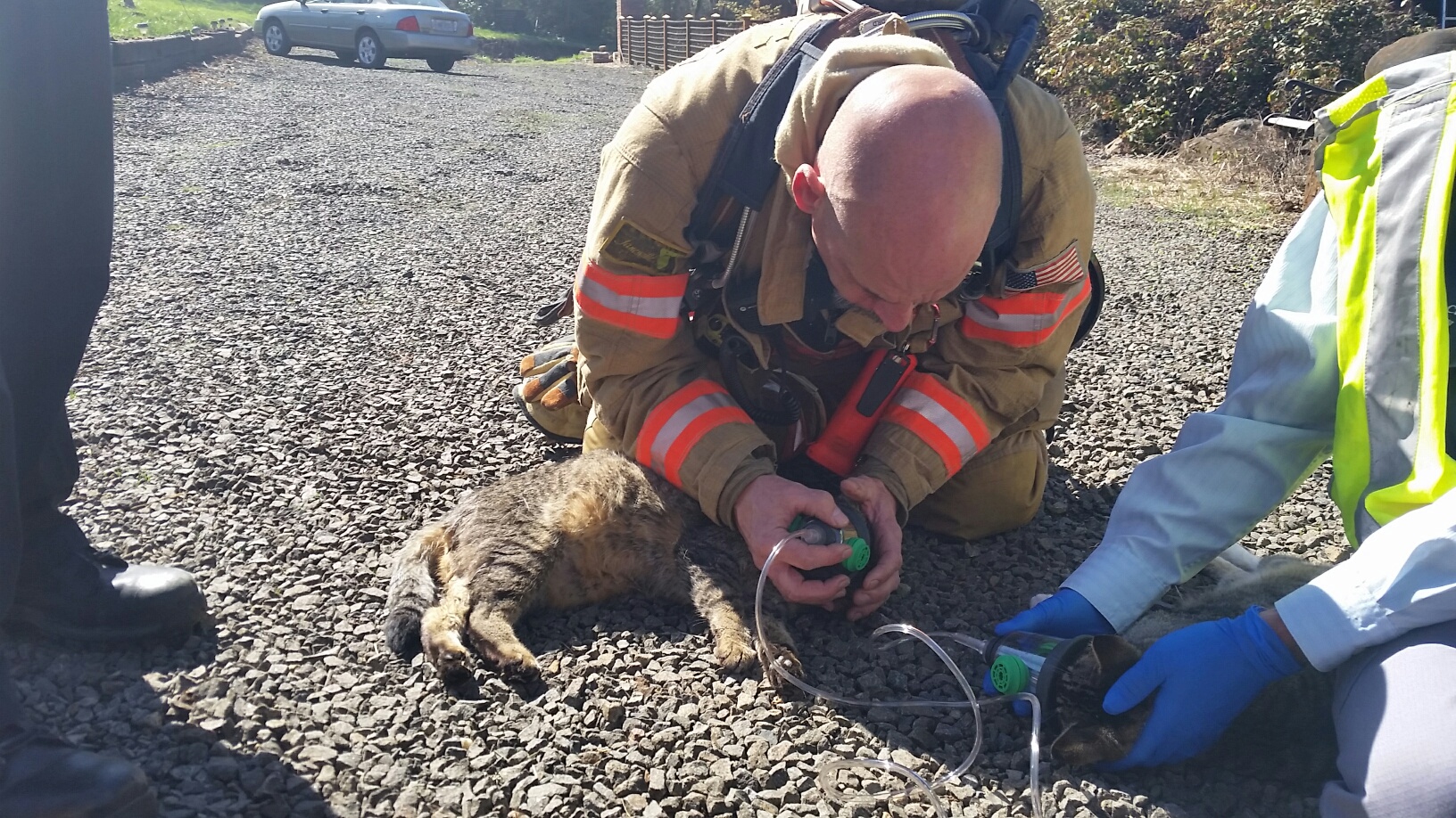 See Oregon Firefighters Resuscitate Cats TIME