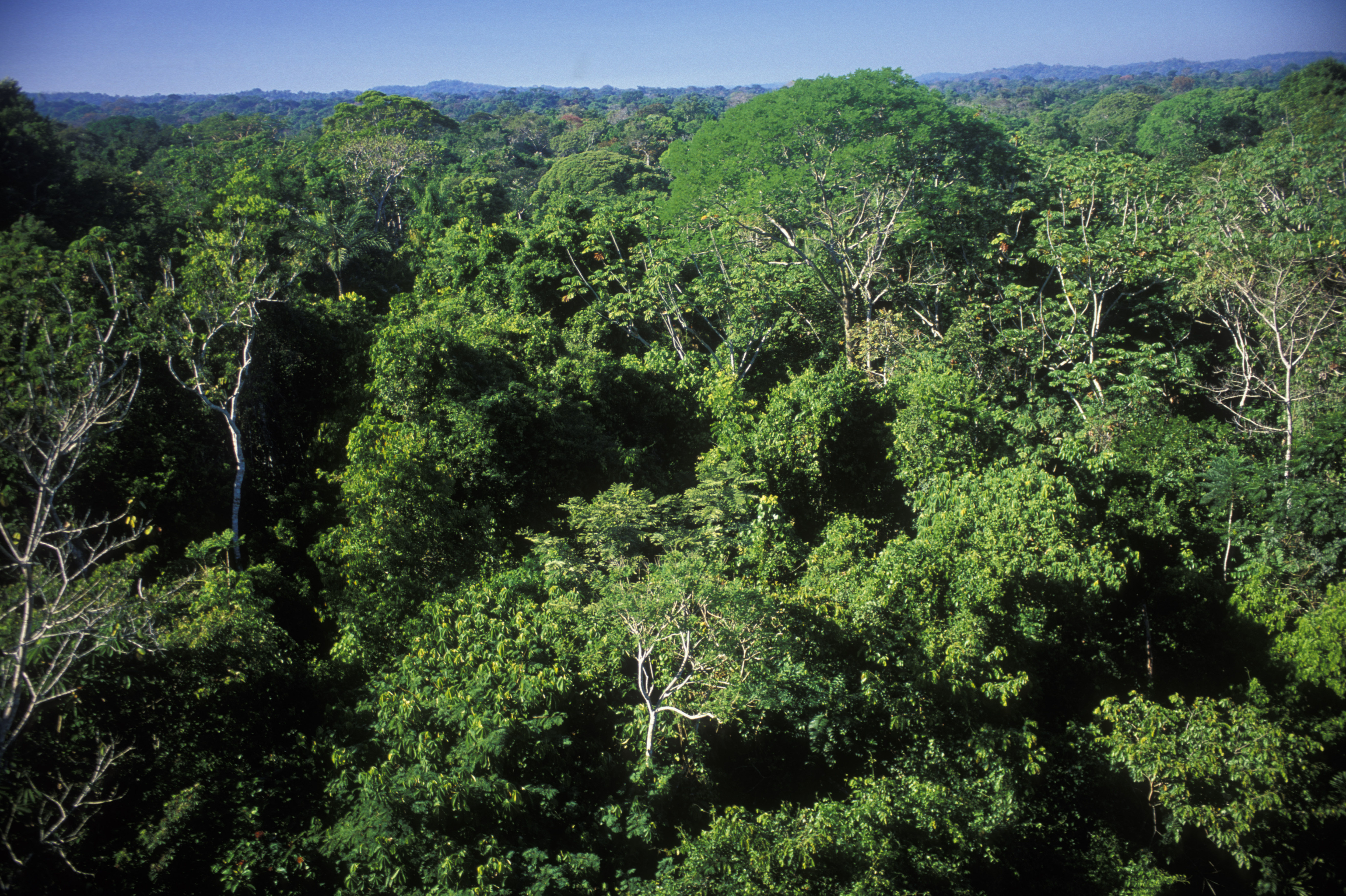 Uncontacted Tribes Should We Leave Them Alone? Time