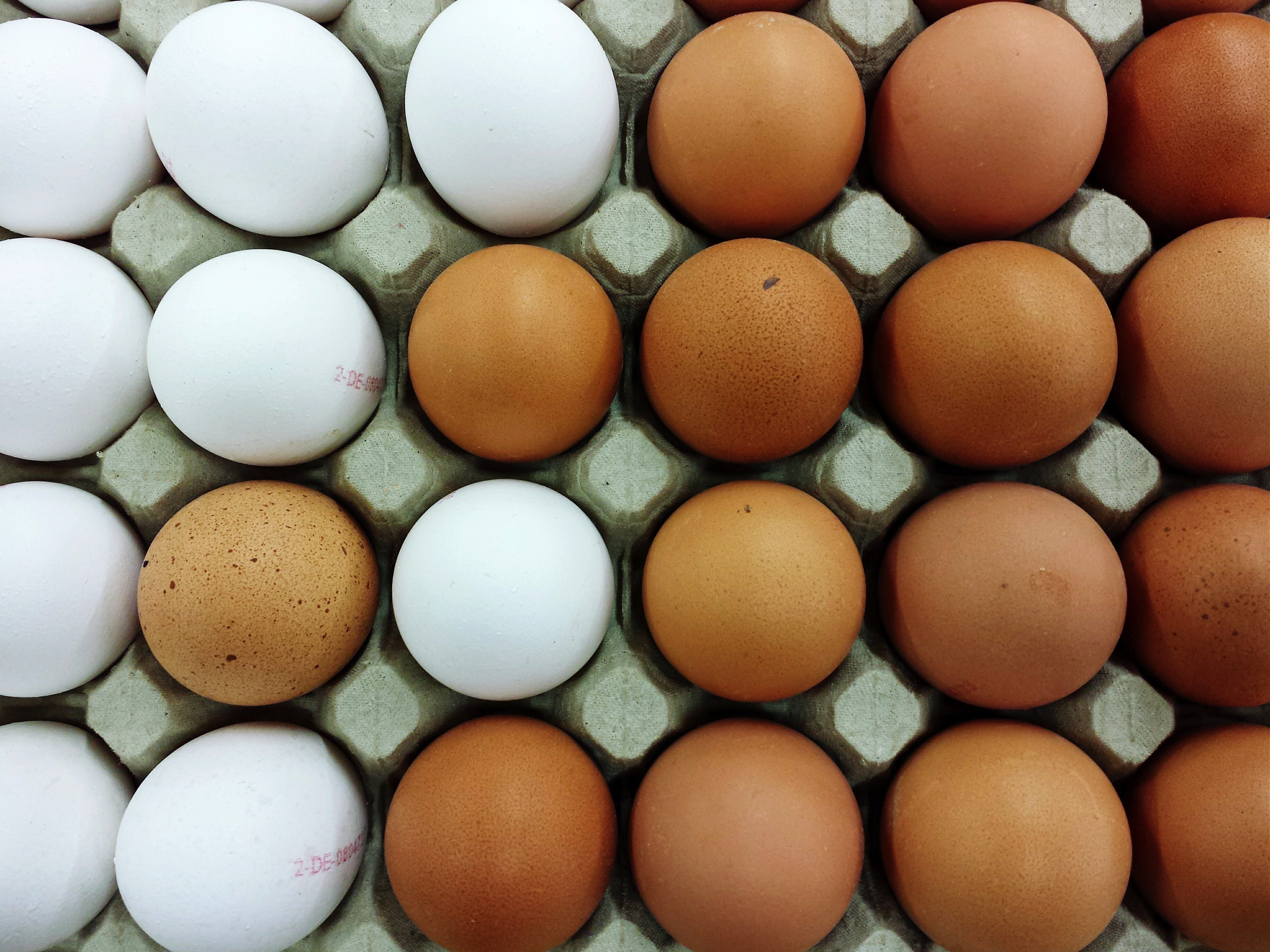 Bird Flu Pushes U.S. to Import European Egg Products TIME