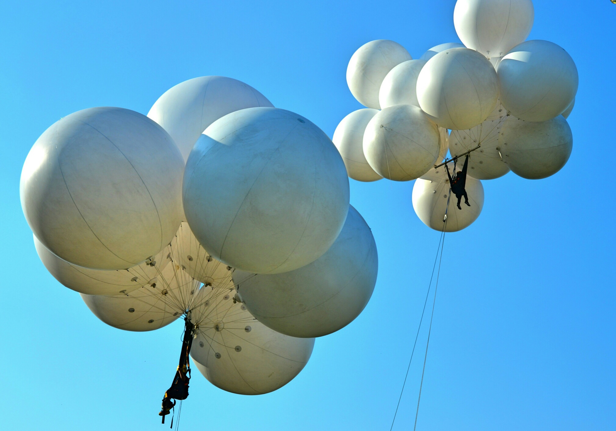 Man Flies High in Lawn Chair Attached To Balloons TIME