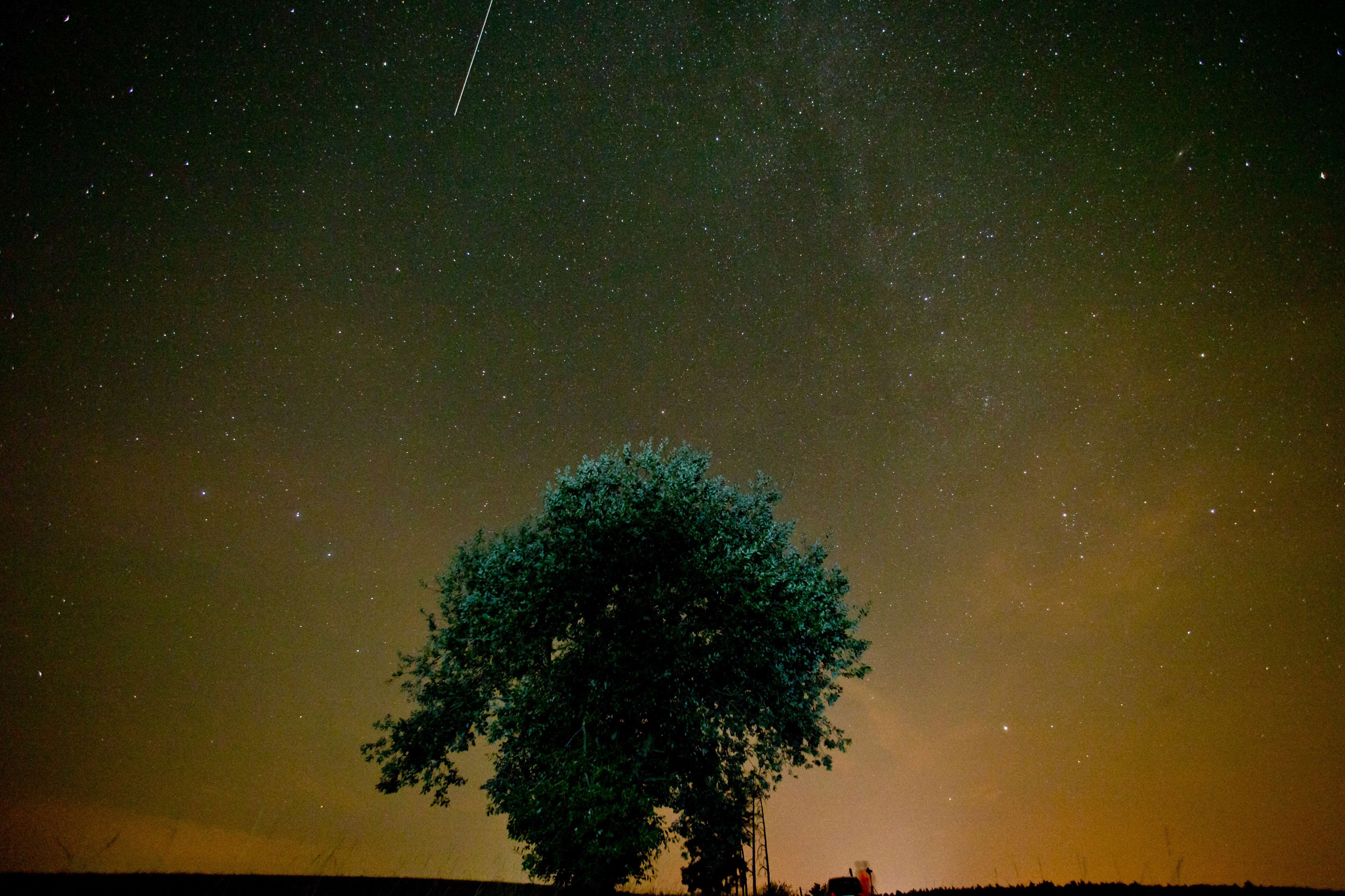 See the Best Perseid Meteor Shower Photos Time