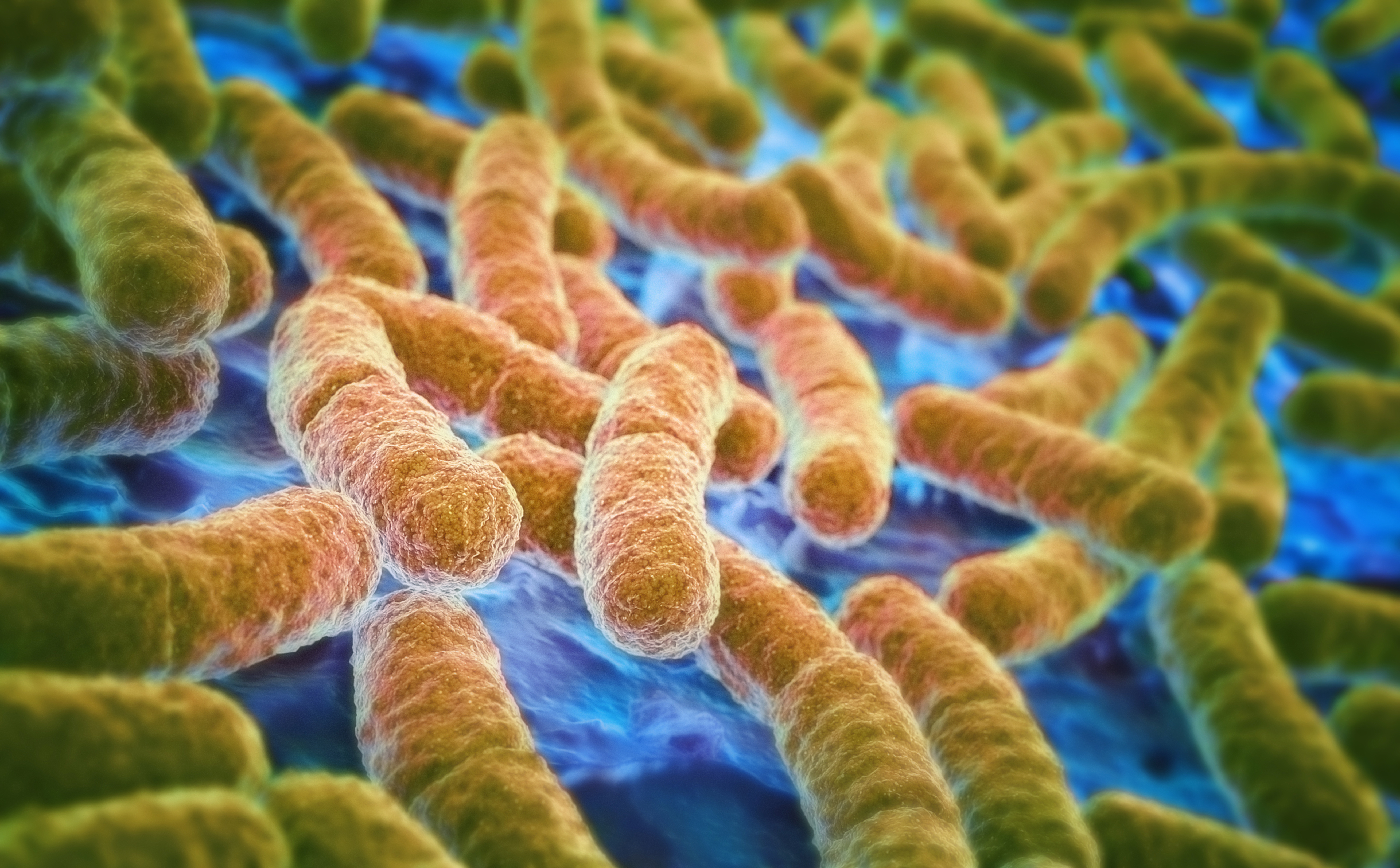 New Mutation Makes Bacteria Resistant to Drugs Time