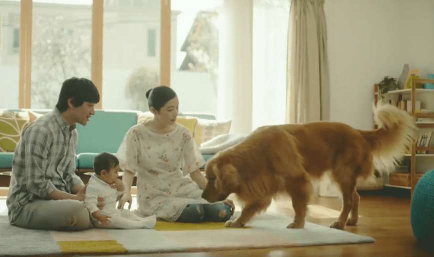 Amazon Japan Ad for Prime With Baby, Golden Retriever Dog TIME