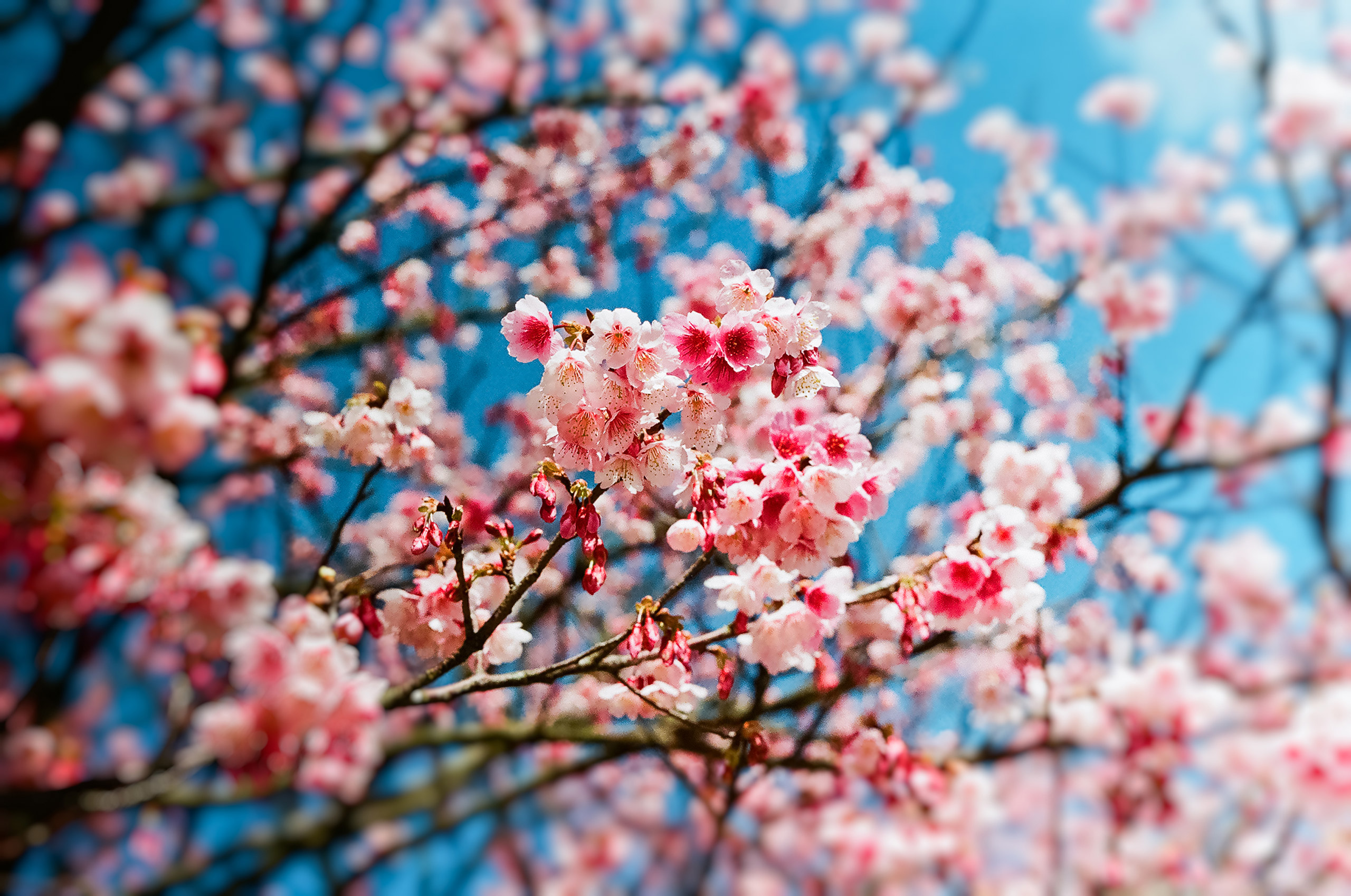 Spring Weather Forecast Here's What to Expect This Spring TIME