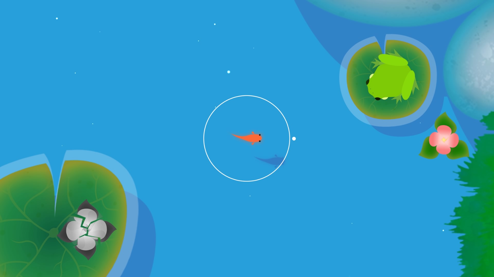 Koi Lets You Guide A Fish To Save Your World TIME