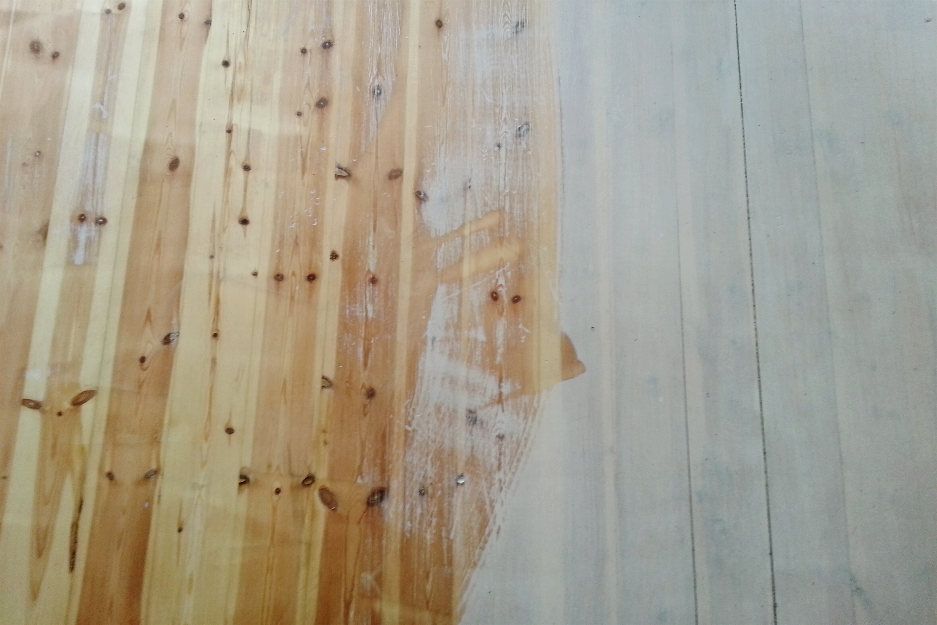 Toxic Chemicals Around the House Dust Harms Your Health TIME