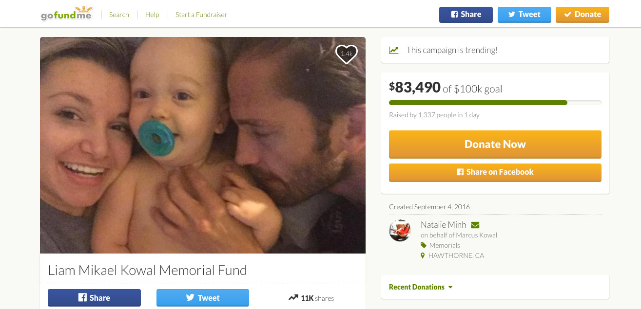 MMA Fighter Donates Son’s Organs After Baby Killed in Crash TIME