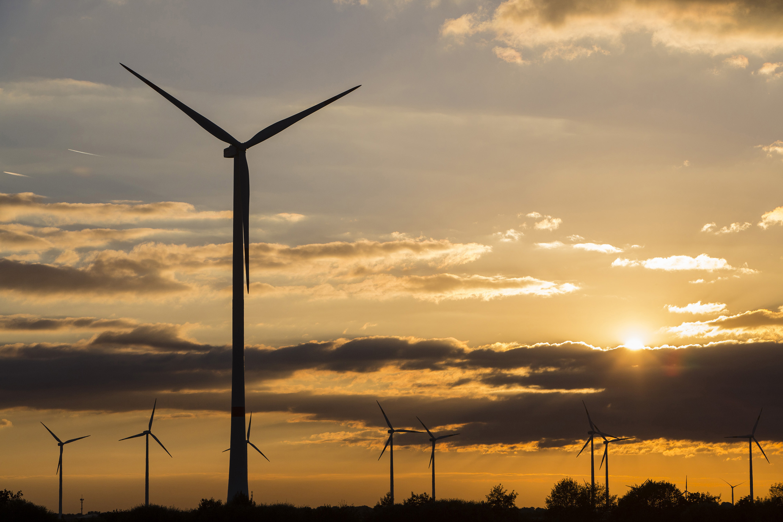Renewable Energy Growth Trumped Fossil Fuels in 2015 Report TIME