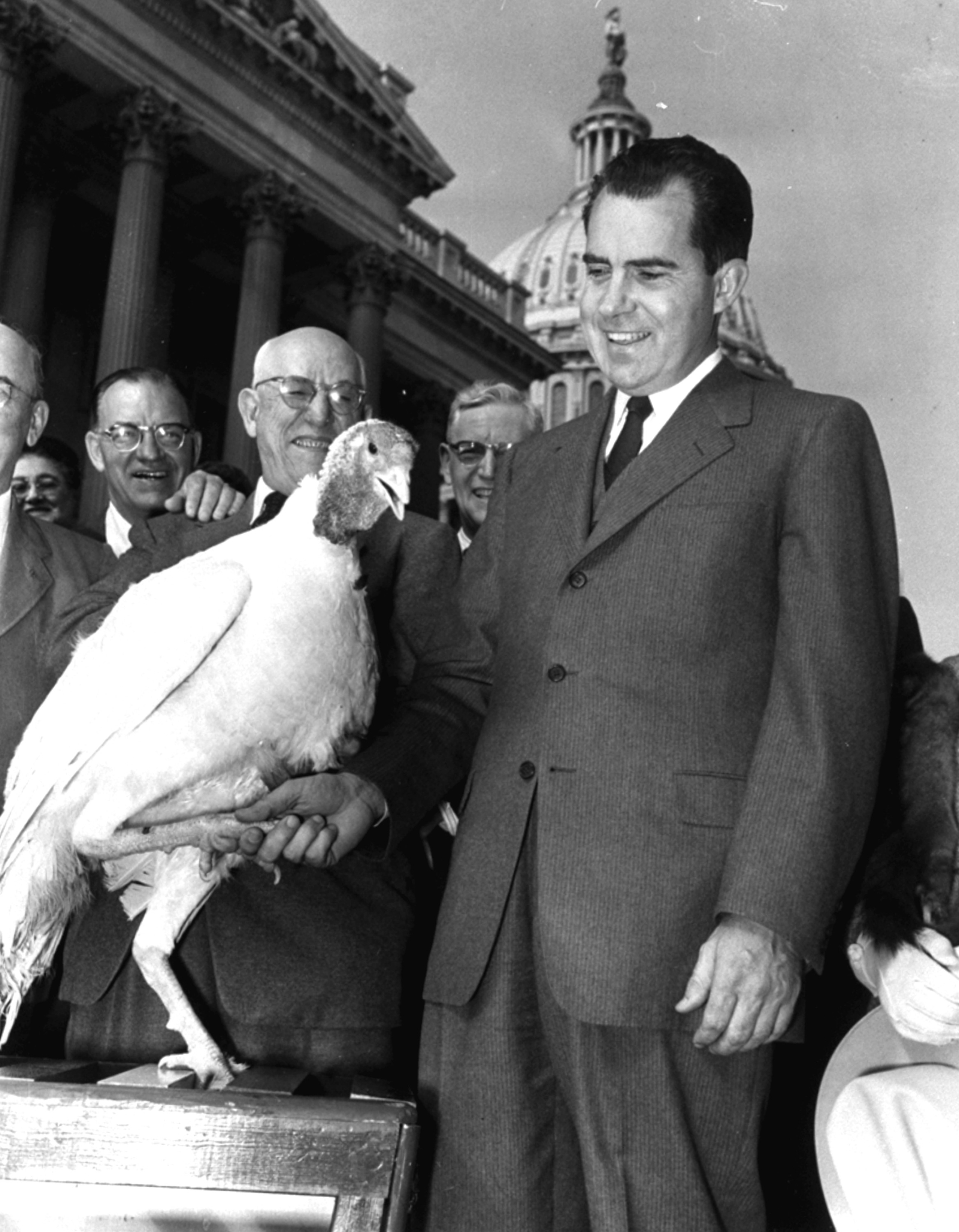 Thanksgiving Turkeys See 7 Decades of Presidential Pardons Time