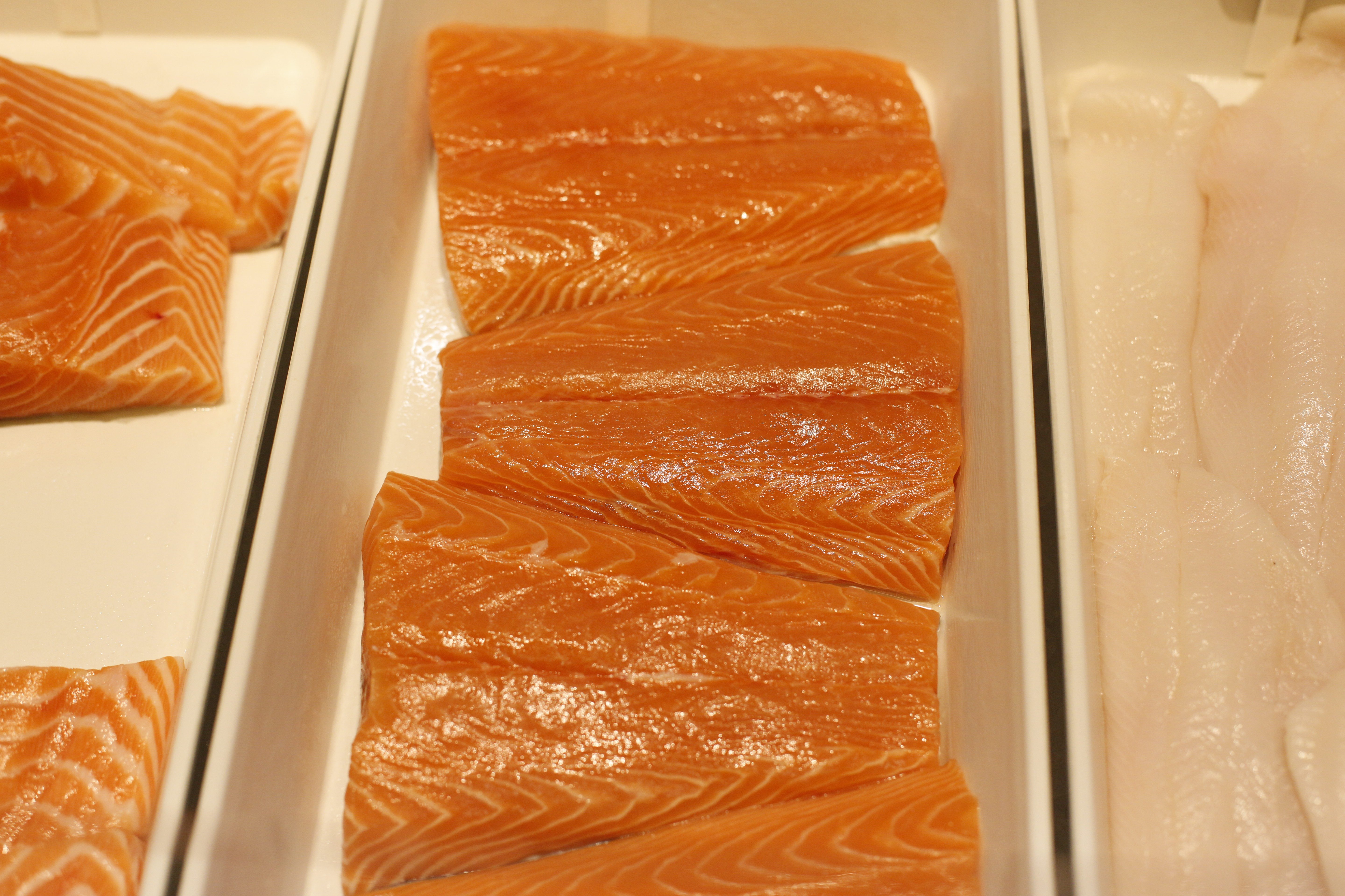 Salmon Price Spikes Due to Sea Lice in Salmon Farms Time