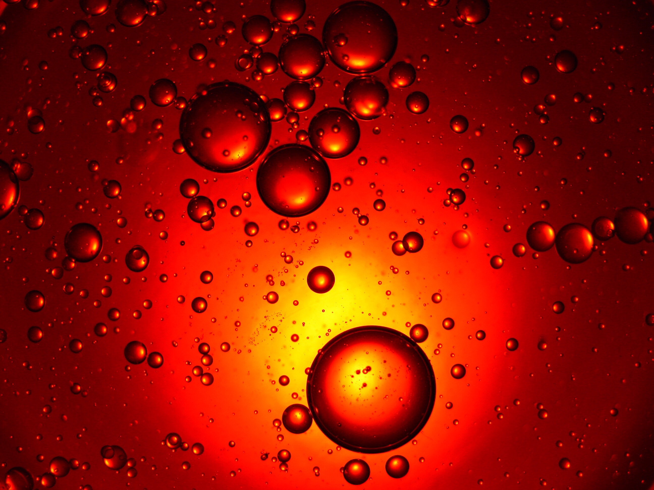 Budweiser Wants to Brew Beer on Mars. Could That Ever Work? TIME