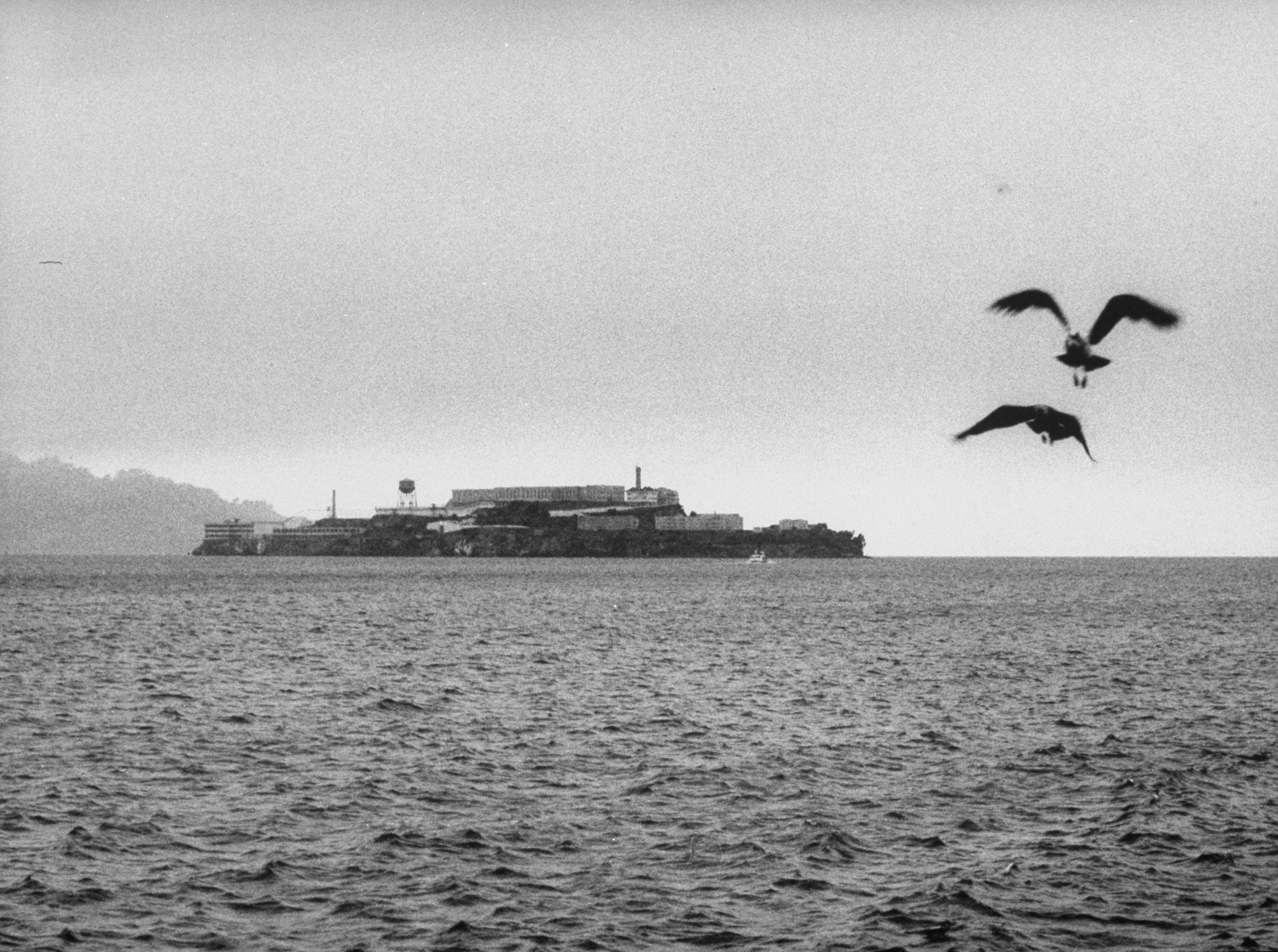 Alcatraz Escape 1962