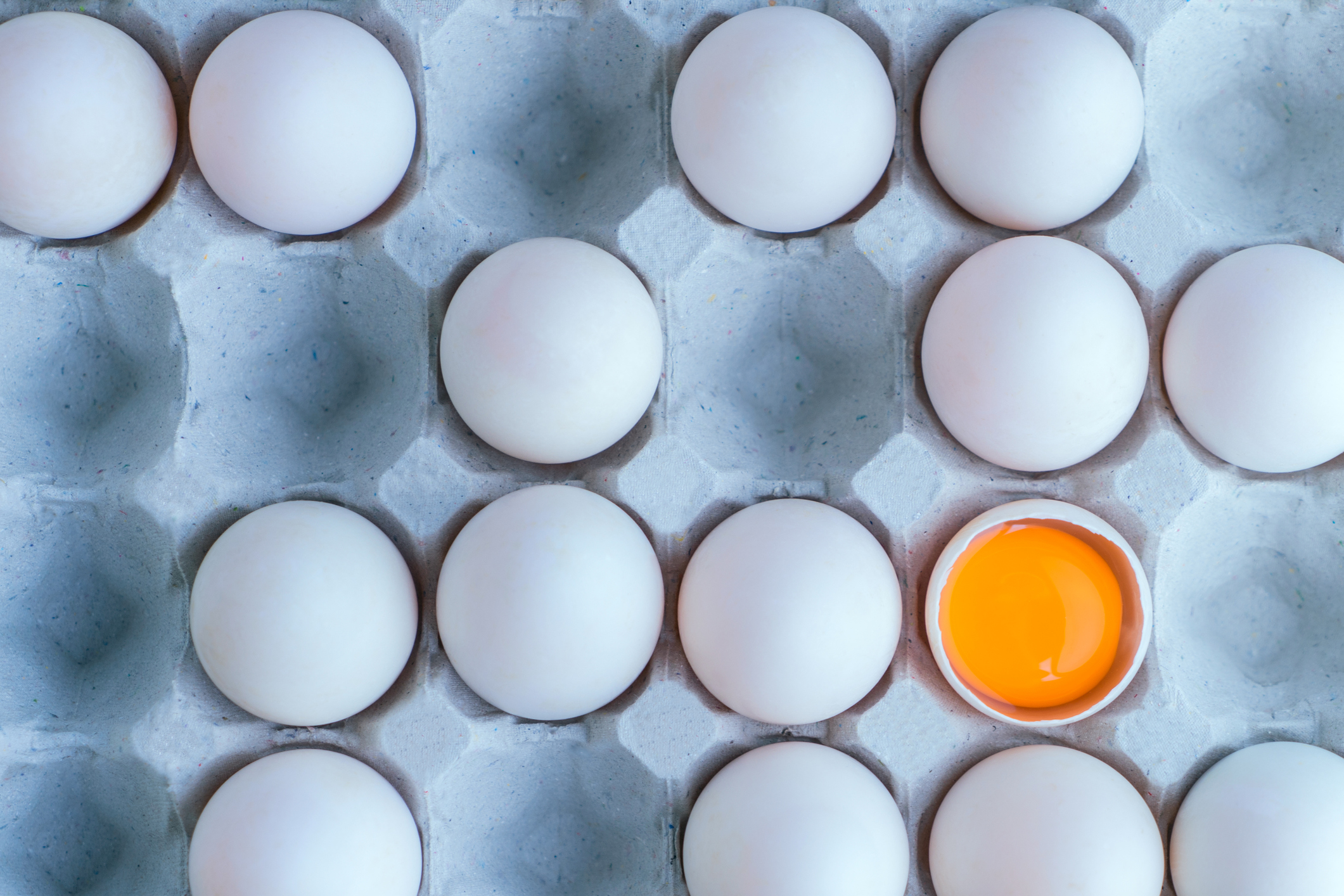 Boiled Egg White Nutrition Facts Usda Blog Dandk