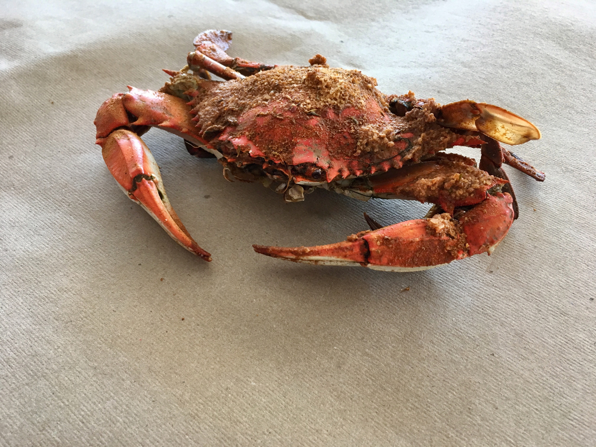 How Do You Contract Crabs