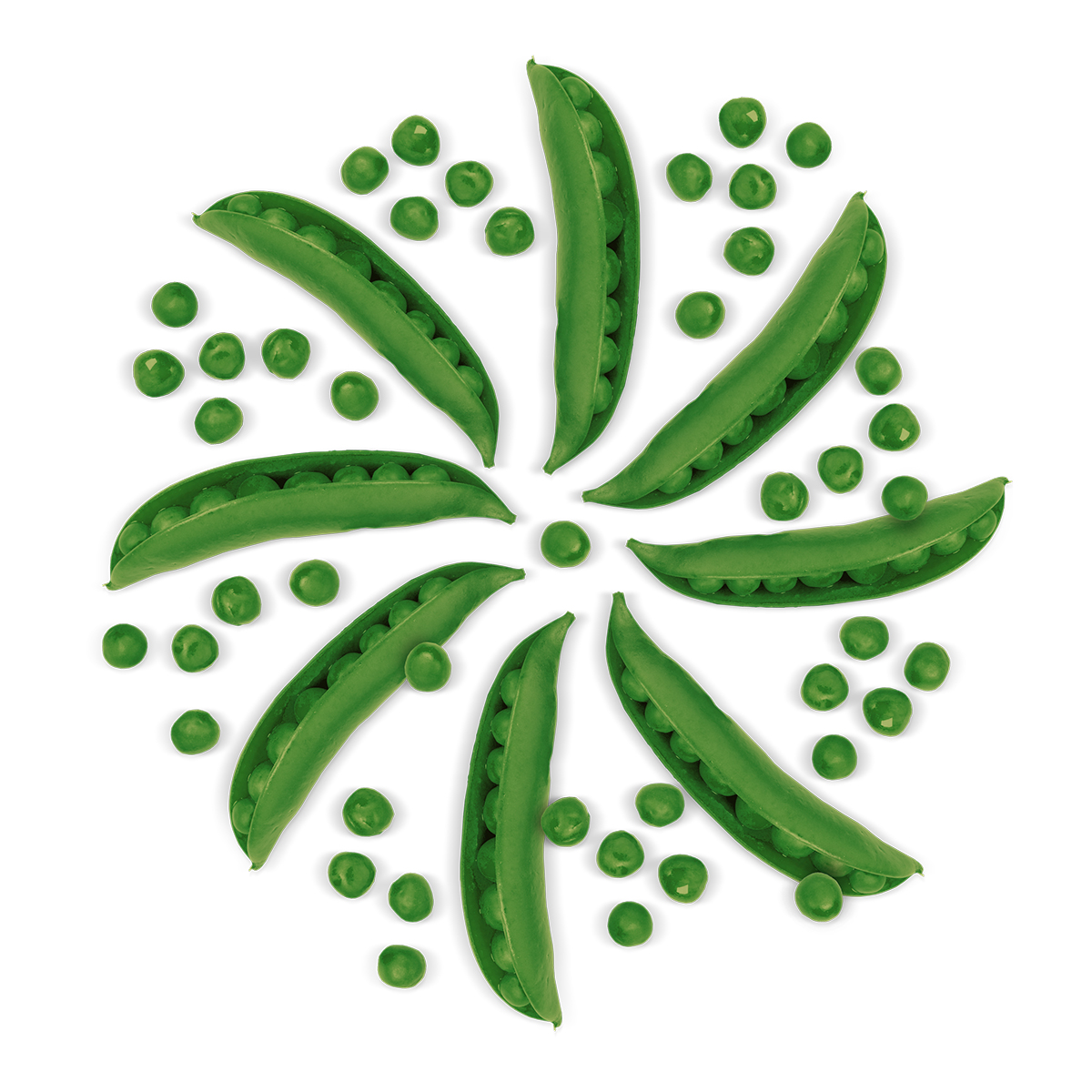 How Pea Protein Became a Key to Meat and Dairy Alternatives TIME