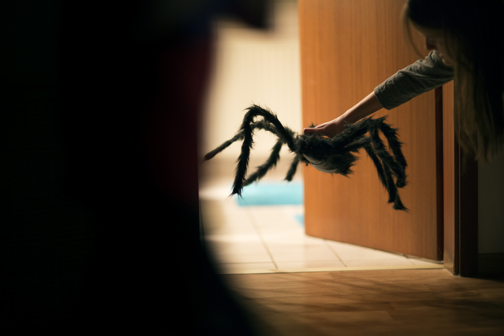 Charlie Fights Animatronic Spider in Funny Halloween Video TIME